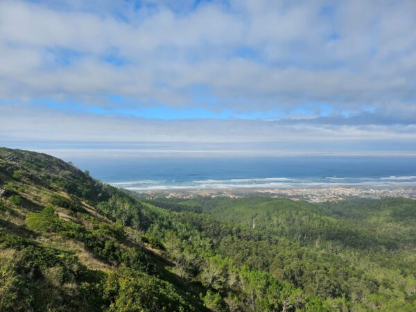Overseas training and tour - Image 22