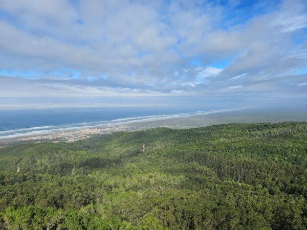 Overseas training and tour - Image 24